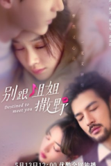 مسلسل مقدر للقائك Destined To Meet You مترجم