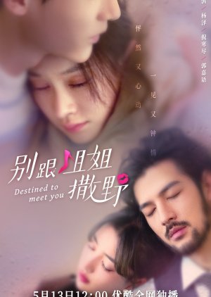 مسلسل مقدر للقائك Destined To Meet You مترجم
